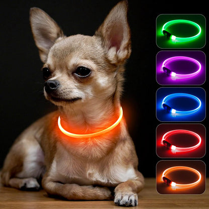 Collar LED Recargable para Mascotas🐶🐱Envio Gratis + Pago Contra Entrega🚚