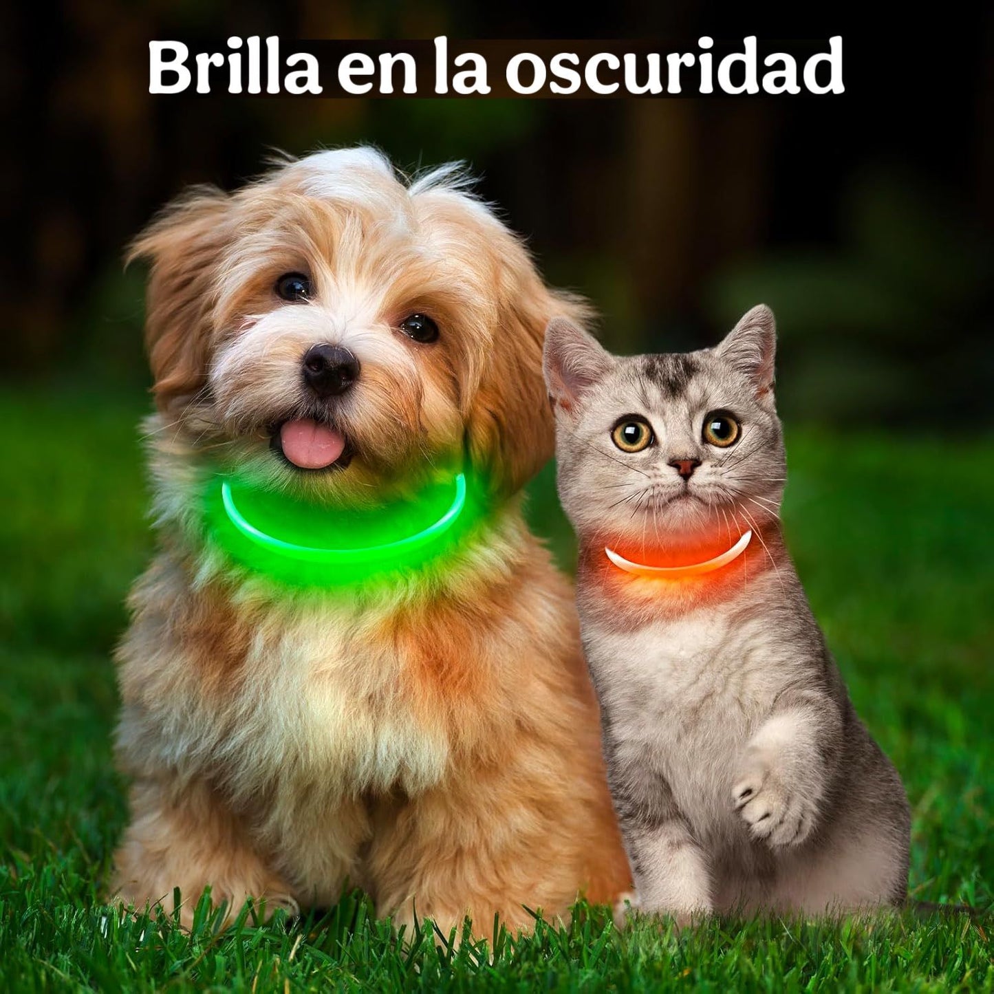 Collar LED Recargable para Mascotas🐶🐱Envio Gratis + Pago Contra Entrega🚚